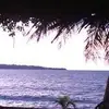 danvitale7 - @danvitale7 - TikTok