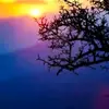 Daniele Vitiello - @danielevitiello - TikTok