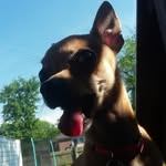 Daniel Wagers - @thunder_wolf05 - Instagram
