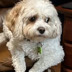 Danny Wampler - Facebook