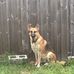 Dan Wark - Facebook