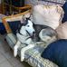 Dan Wark - Facebook