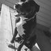 Dan Washburn - Facebook
