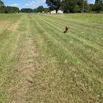 Dan Washburn - @dan_the_rich_man - Instagram