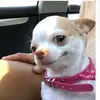 Dana Swasko - @danaswasko - TikTok