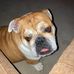 Dan Whipple - Facebook