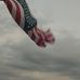 Daniel Whipple - Facebook