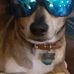 Daniel Whitacre - Facebook