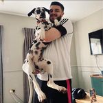 Dan Whitehouse - @danwhitehouse_ - Instagram