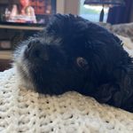 Dan Whitfield - @whitfielddan - Instagram