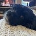 Dan Whitfield - Facebook