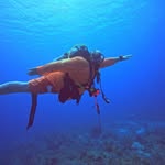 Dan Whiting - @whiting2042 - Instagram