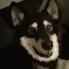 Dan Whitley - @dan.whitley5 - TikTok
