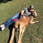 Dan Whitlock - @dwhitlock82 - Instagram