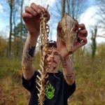 Dan Whitney - @scumoftheslum - Instagram