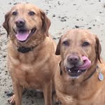 Dan Wickham - @wickham.dan - Instagram