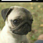 @__dan__wicks__fcc__ - Instagram