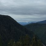 Dan Wicks - @dan.wicks.982 - Instagram