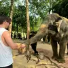 Dan Widders - @danwidders - TikTok