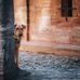 Daniel Widmer - Facebook