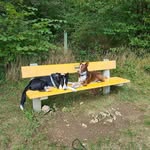Daniela Widmer - @widmer_dan - Instagram