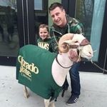 Dan Wiens - @danwienscsu - Instagram