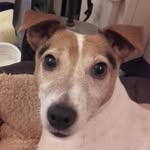 dan wignall - @danwig_27 - Instagram