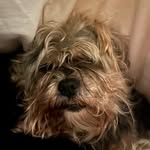 Daniel Wignall - @wiggy132 - Instagram