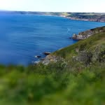 Daniel Wignall - @wignall_daniel - Instagram