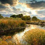 @danwike - Instagram