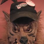 Dan Wildman - @danimal_0921 - Instagram