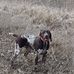 Dan Wilken - Facebook
