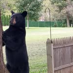 Dan Willams - @dan.willams.718 - Instagram