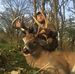 Dan Willard - Facebook