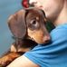 Daniel Wills - Facebook
