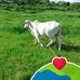 Dan William - Facebook