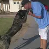 danwilliamson74 - @danwilliamson74 - TikTok