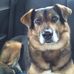 Daniel Willig - Facebook
