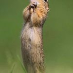 Dan Willy Willmott - @danwillywillmott - Instagram