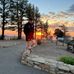 Dan Wills - Facebook