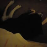 Dan wills - @danwills57 - Instagram