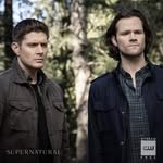Dan Winchester - @danwinchester - Instagram