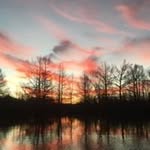 Dan Windham - @dan.windham - Instagram