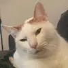 DaniWind - @danwind00 - TikTok