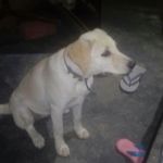 Danwinder - @dawinder189 - Instagram
