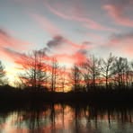 Dan Windham - Facebook