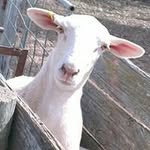 Dan Windsor - @danwindsor102 - Instagram