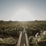 Danza Del Sol Winery by Wedgewood Weddings - @wedgewood.danzadelsolwinery - Instagram