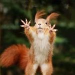 Landan Wininger - @landanwininger - Instagram