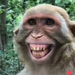 Dan is the winner - @video.humor.2022 - Instagram